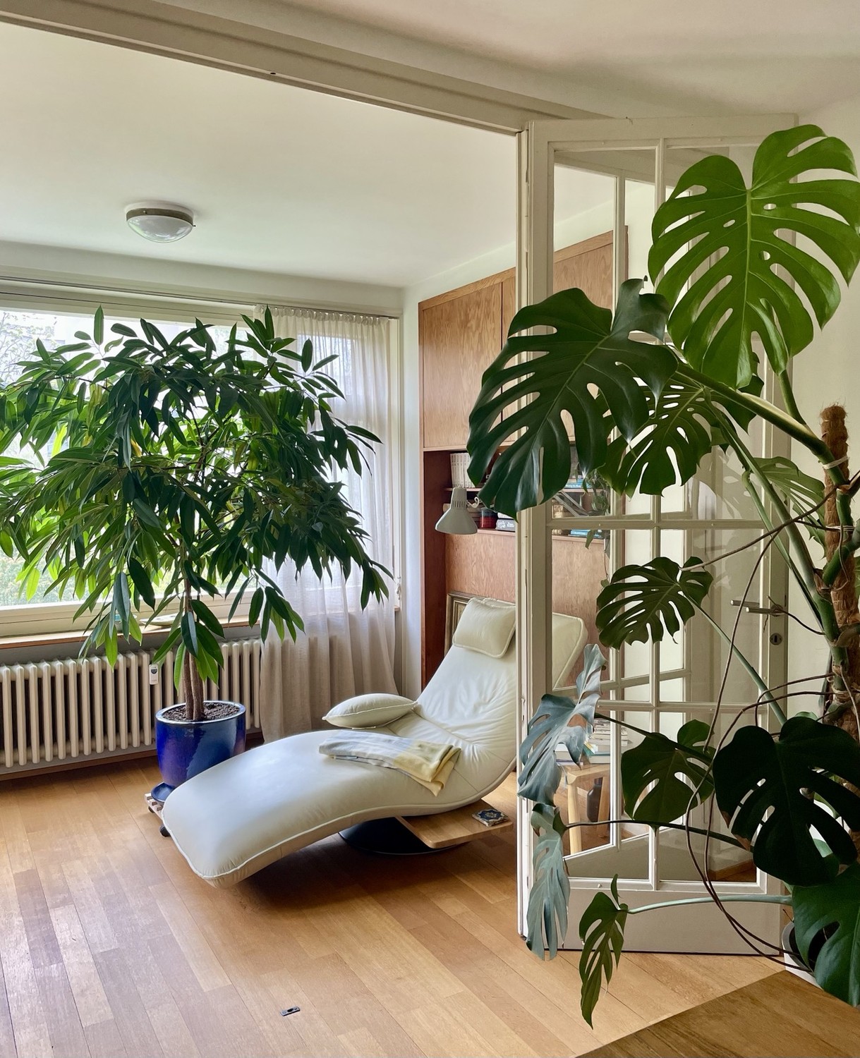 2 ½ Zimmer Wohnung