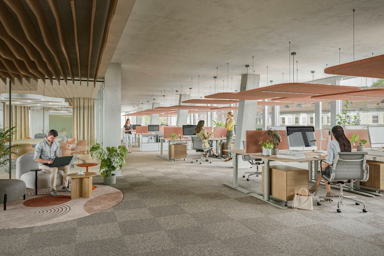 244m² office, photo 3 of 3