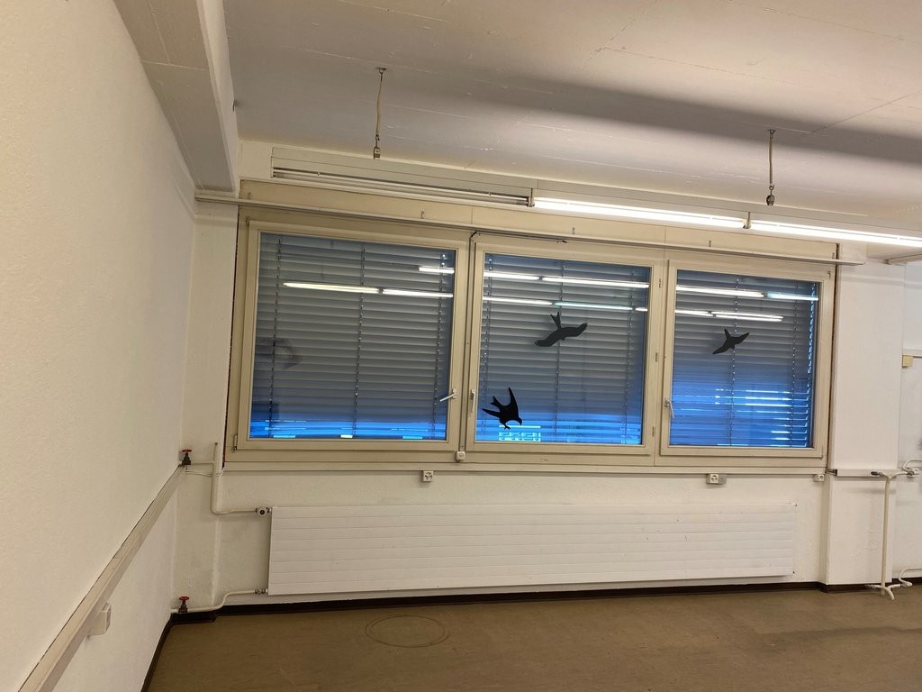 59m² commerciale
