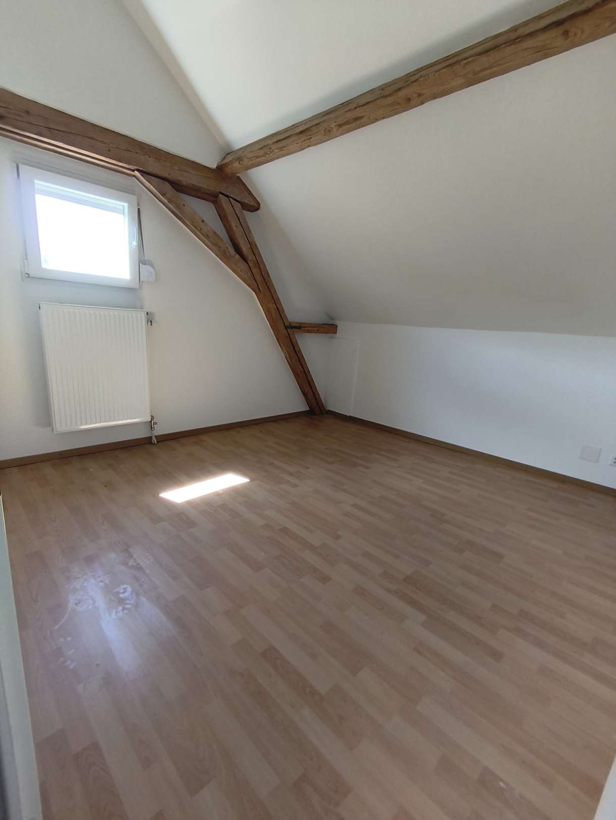 loft di 1 stanza