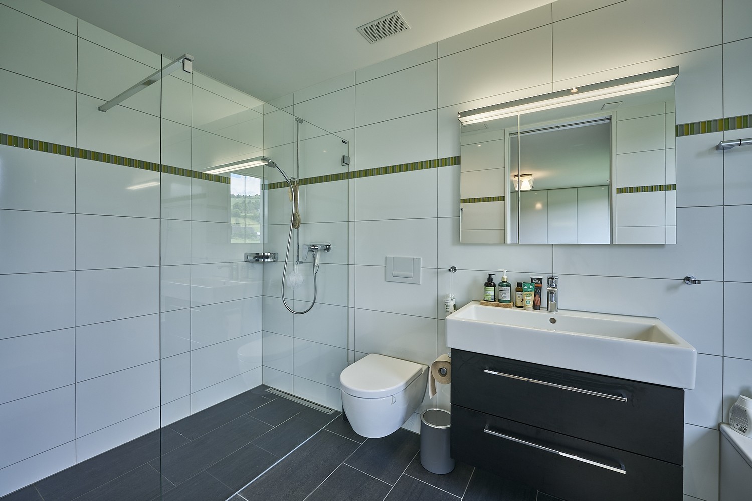 Appartement de 3 ½ pièces