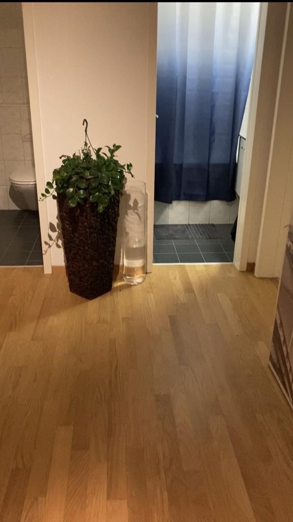 3 rooms apartment, photo 3 of 7