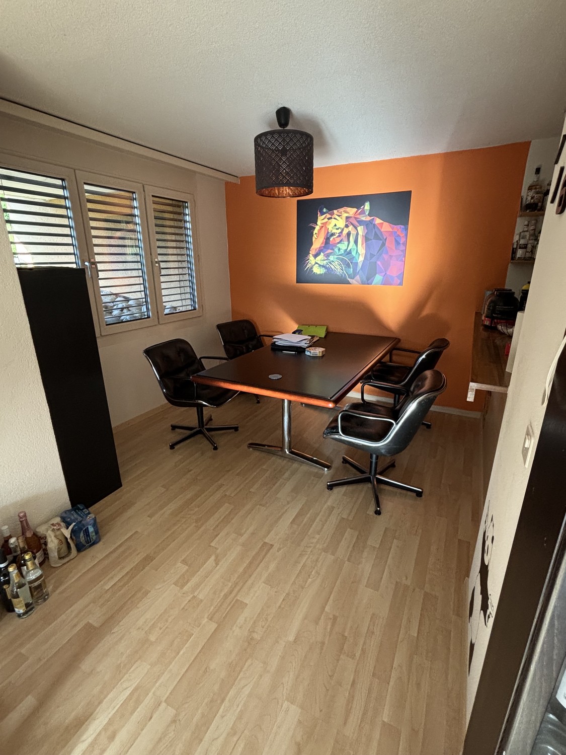 4 ½ rooms apartment (5)