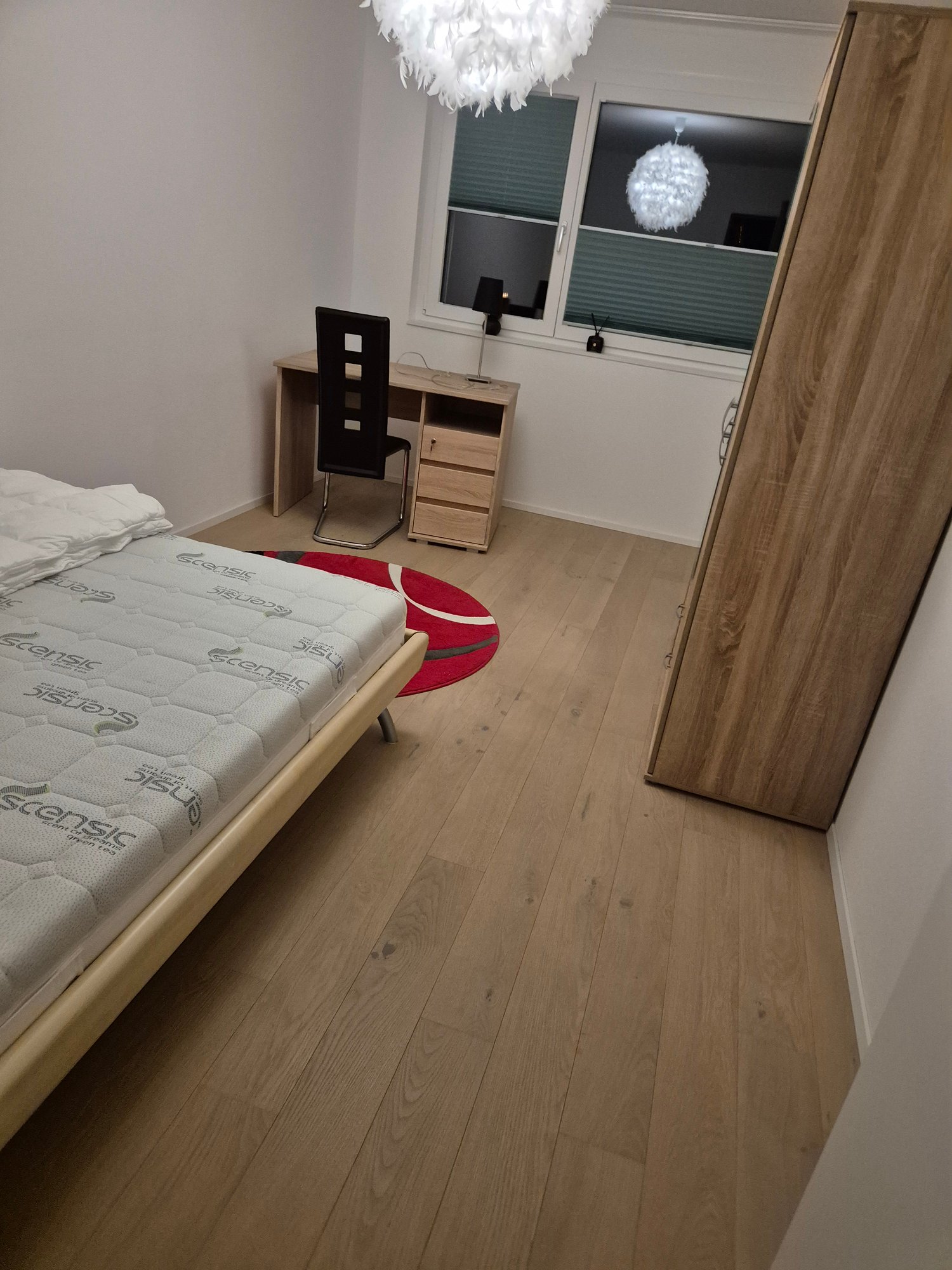 Room in a shared flat