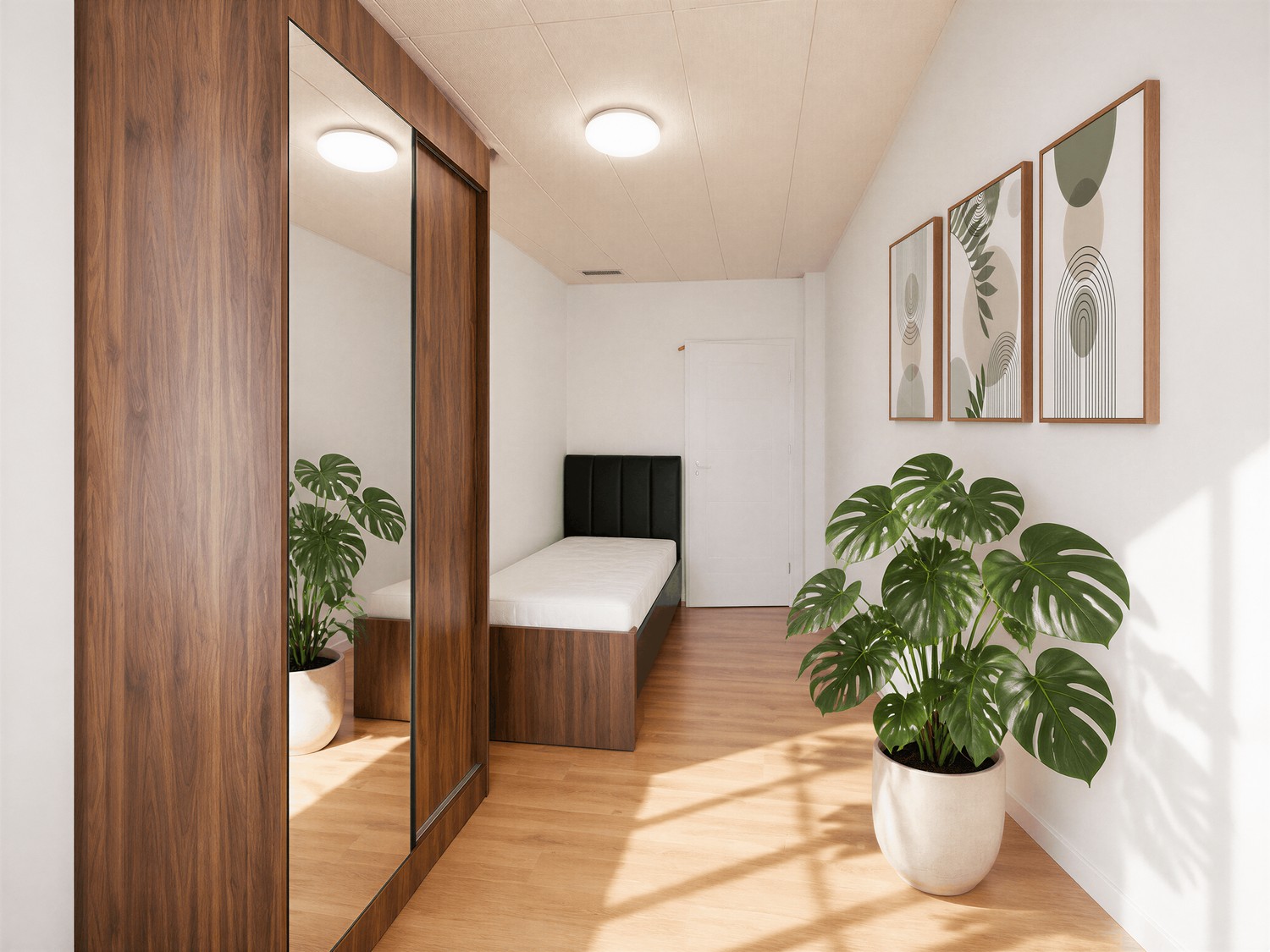 Chambre en colocation