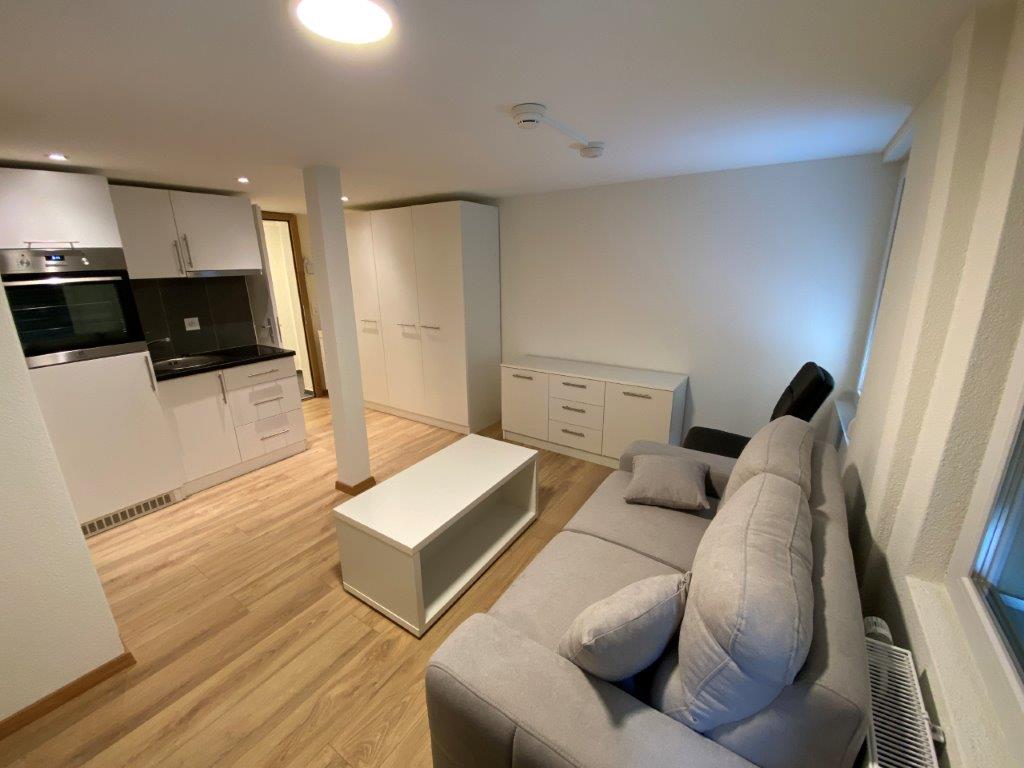 1 room furnished flat