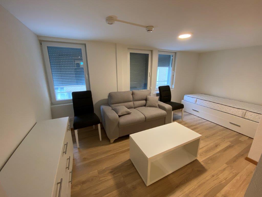 1 room furnished flat