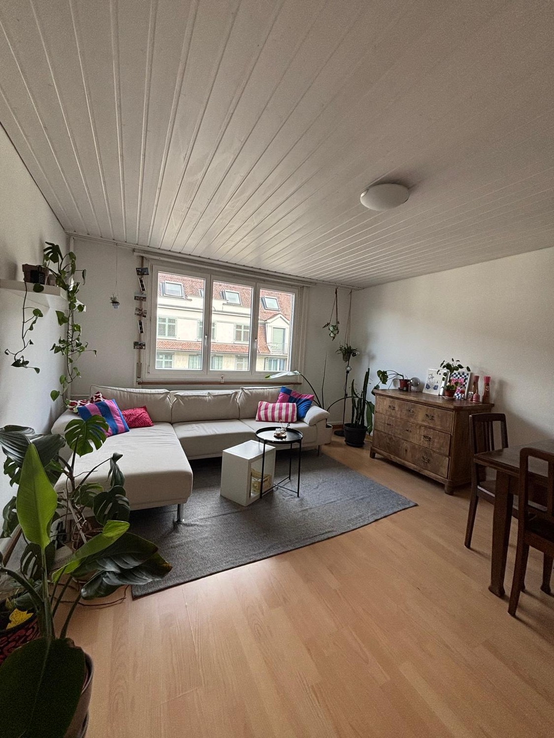 Chambre dans un appartement partagé
