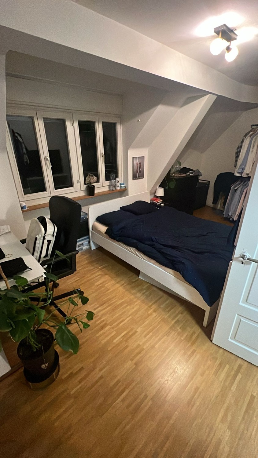 Room in a shared flat